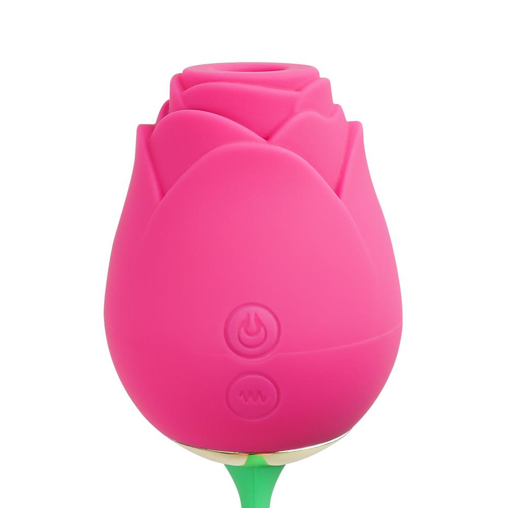 10-Speed Silicone Rose Clitoral Sucking with Vibrating Egg