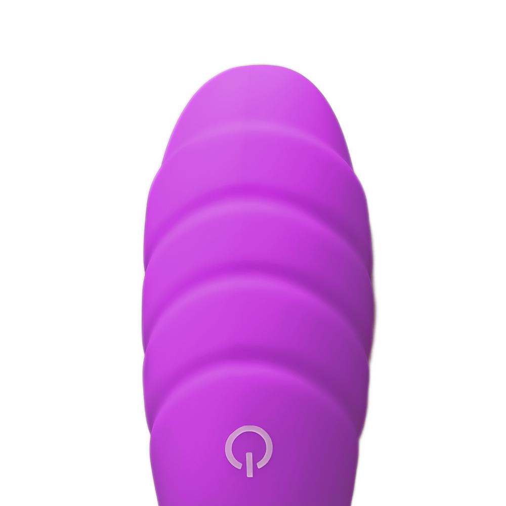 10 Speeds Purple Rechargeable Remote Control Vibrating Egg