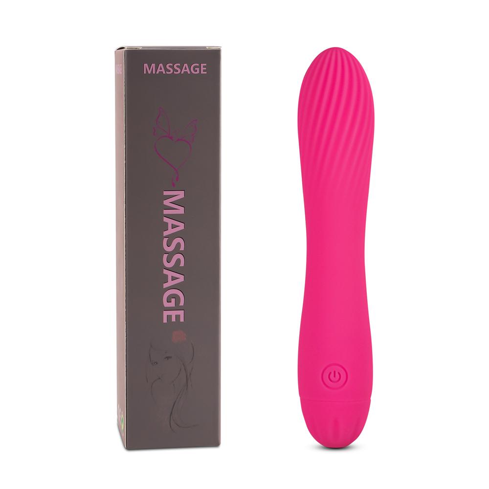 10 Speeds Rechargeable Silicone Pink Color Classic Vibrator