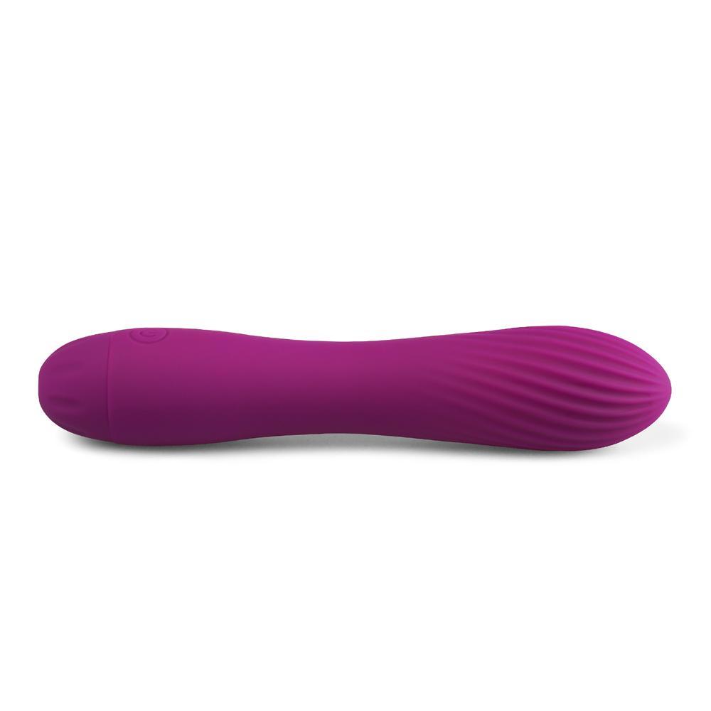 10 Speeds Rechargeable Silicone Purple Color Classic Vibrator