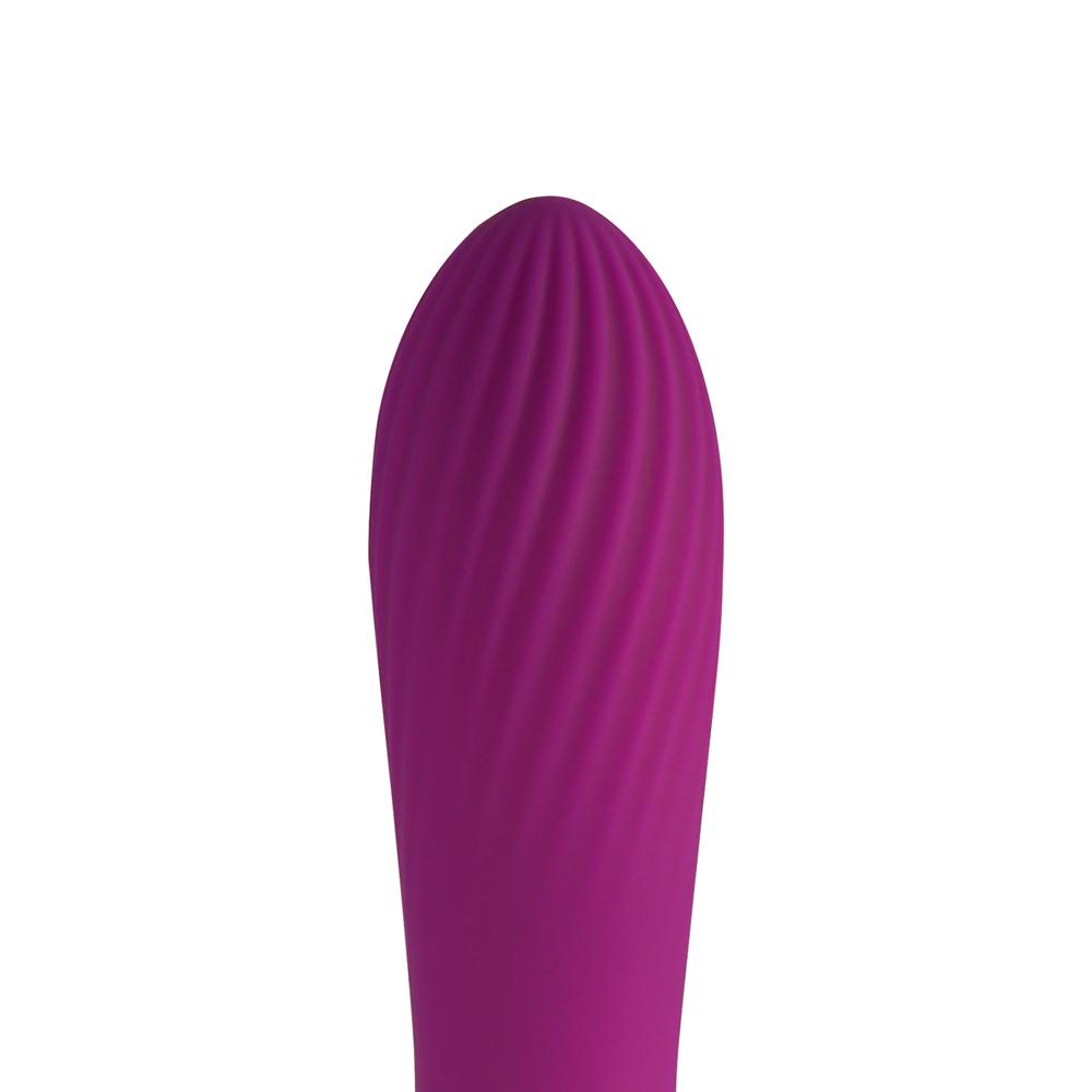 10 Speeds Rechargeable Silicone Purple Color Classic Vibrator