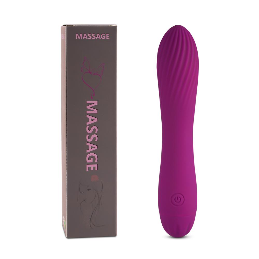 10 Speeds Rechargeable Silicone Purple Color Classic Vibrator