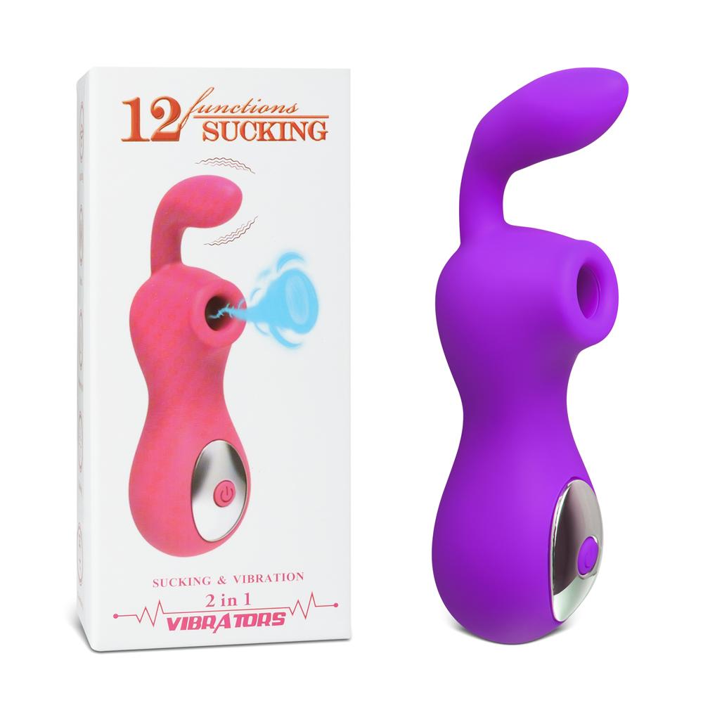 12 Speeds Purple Color Silicone Rechargeable Clitoral Stimulator with 2 Motors