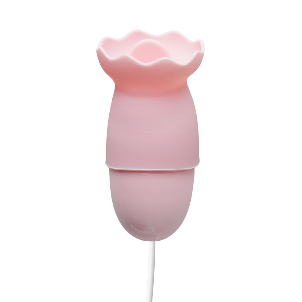 Pink USB-Powered 12-Speed Vibrating & Tongue-Licking Egg (Foil Bag)