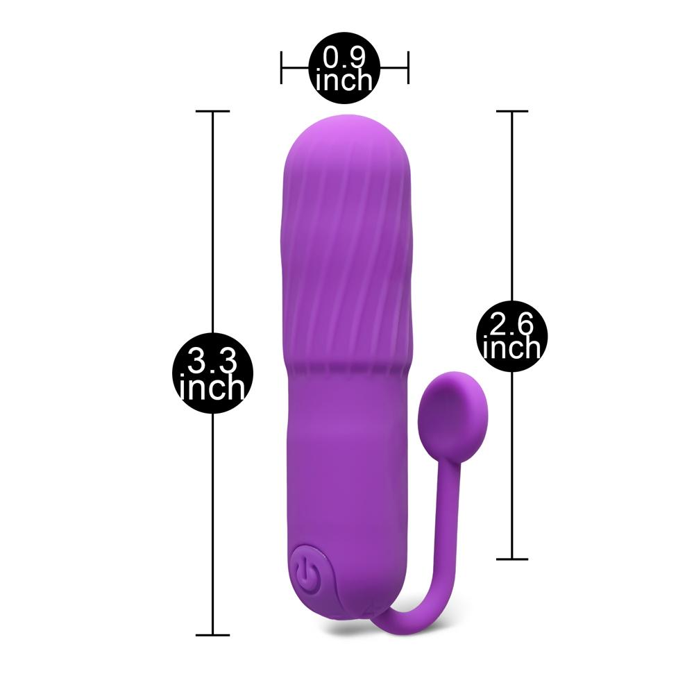 Purple 10-Speed Rechargeable Vibrating Bullet with Silicone Grip Handle