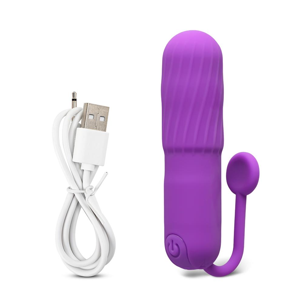 Purple 10-Speed Rechargeable Vibrating Bullet with Silicone Grip Handle