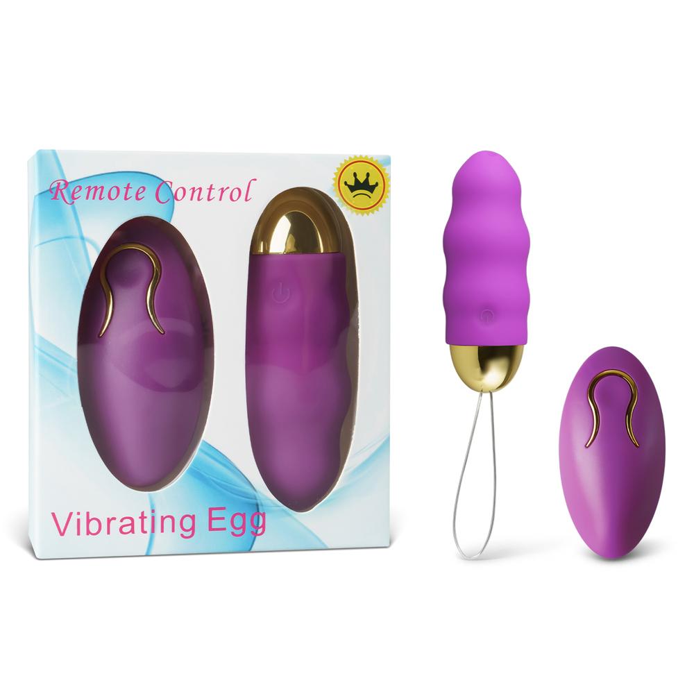 Purple Color 10 Speeds Rechargeable Remote Control Vibrator