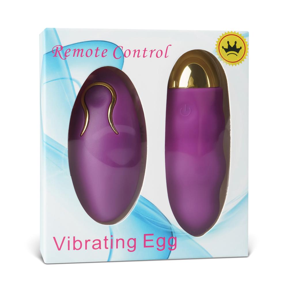 Purple Color 10 Speeds Rechargeable Remote Control Vibrator