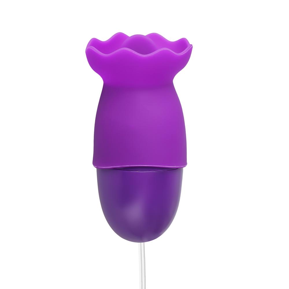 Purple USB-Powered Vibrating & Tongue-Licking Egg (Foil Bag)