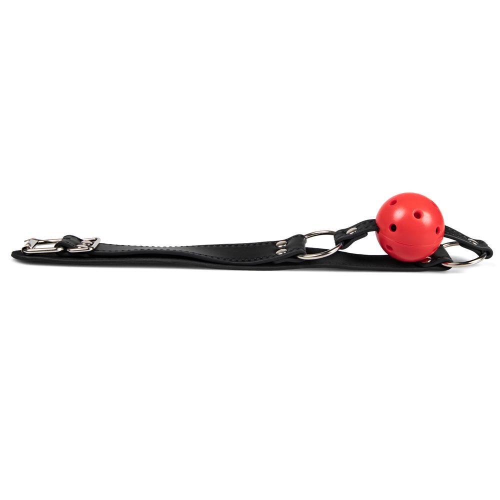 Red Ball Gag